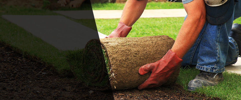 Winfield Landscapers